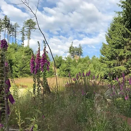 Carlshaus - Luxus Hideaway Im Harz Villa
