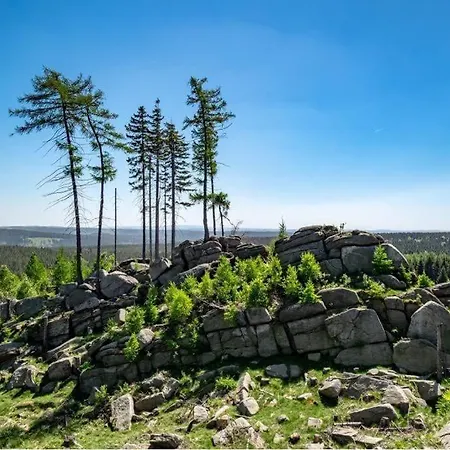 Carlshaus - Luxus Hideaway Im Harz * ヴェルニゲローデ