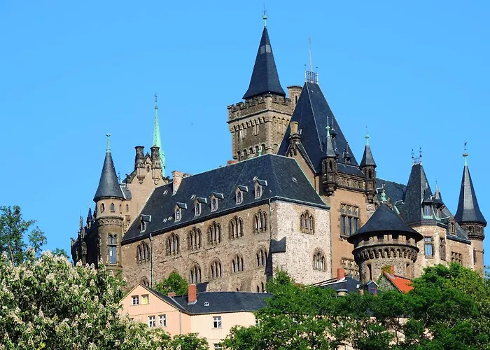 Carlshaus - Luxus Hideaway Im Harz Vila *