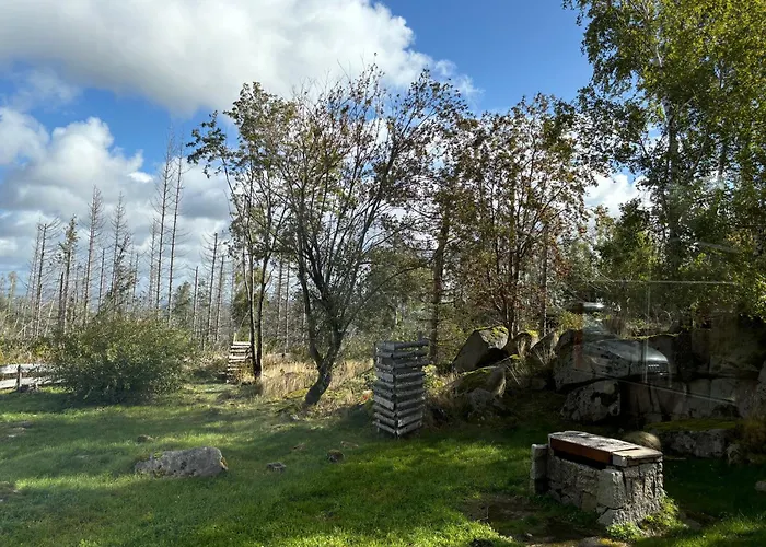 Vila Carlshaus - Luxus Hideaway Im Harz Wernigerode